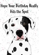 illustration dalmatian Birthday Card 17174 created by Honey and Blondie Illustrations