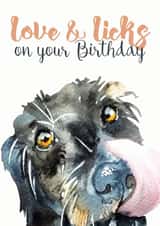 terrier licks Birthday Card 1599 created by Jo Scott Art