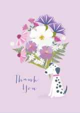 dalmatian dog Thank You Card 16240 created by Klara Hawkins