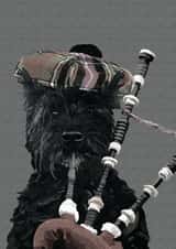 Happy Birthday birthday Card 25884 created by Periodic Society