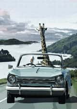 Happy Birthday birthday Card 25885 created by Periodic Society