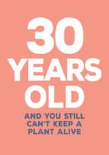 30th plant Birthday Card 13033 created by Paper Plane