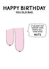 Funny Birthday Card – "Happy Birthday, You Old Bag" with Saggy Boobs Tits Design created by Stevie Doodles