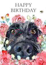 Happy Birthday from the dog created by Jo Scott Art