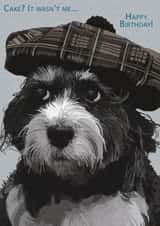 birthday dog Birthday Card 3241 created by Periodic Society