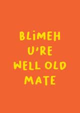 blimeh well Birthday Card 17511 created by Georgia Williams