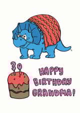Happy 30th Birthday Grandma! Card created by Kat Willott