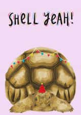 tortoise celebration Card 17564 created by Alba Landra