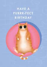 purr purfect Birthday Card 17648 created by Studio Mads