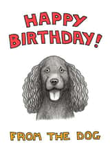 Dogs cockerspaniel Birthday Card 1965 created by Off The Leash Cartoons by Rupert Fawcett