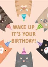 cats funny Birthday Card 17649 created by Studio Mads