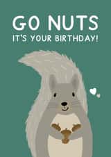 Squirrel Nuts Birthday Card created by Jeff and the Squirrel