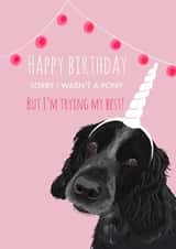 sorry i'm Just because Card 17519 created by Tutti Frutti Designs