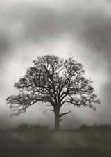 Miss you Isolation Card 31990 created by Duncan Buchanan