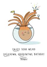 birthday funny Birthday Card 28061 created by Louise Wright