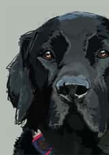 Card 41376 created by Higgledy Pets