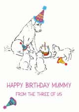 Female Adult Birthday Card 12545 created by Richard Marsh Art