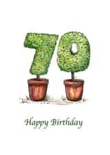 70 70th Birthday Card 6857 created by Nancy Horton
