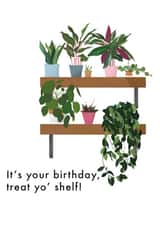 Birthday Card for Plant Lovers - Treat Yo' Shelf created by Number 27 Design