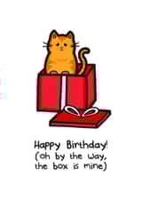 A Cat in a Box Birthday Card created by Innabox