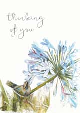 bird flower Thinking of you Card 18487 created by Michelle Offerman