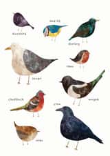 birds watching Just because Card 18674 created by Hidden Tales