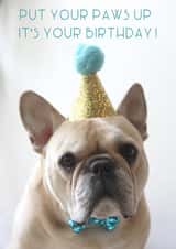 frenchie bulldog Birthday Card 14096 created by Sofia Wåhlin