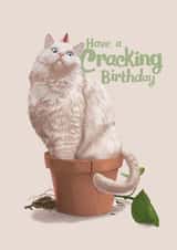 cat pot Birthday Card 15617 created by Fasanian Artistry