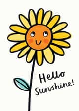 sunflower hello Just because Card 18300 created by Jenny Seddon