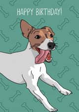 dog jack russell Birthday Card 11764 created by Evie Garnett Designs