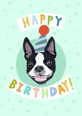 dog boston terrier Birthday Card 19013 created by Penelope Nutmeg
