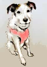 adult animal Birthday Card 19022 created by #drawingtokeepfromtheboring