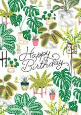 plants flower Birthday Card 43467 created by Jacqueline Colley