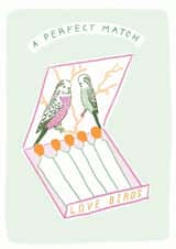 adult birds Anniversary Card 18886 created by Jacqueline Colley
