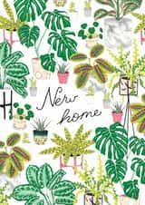Pretty House Plants New Home Card - New Home created by Jacqueline Colley