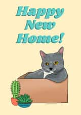 Cute Cat In The Box New Home Card - Happy New Home created by The Queer Store
