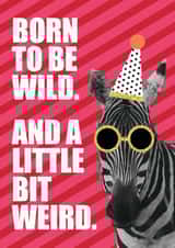 born to be wild zebra Birthday Card 18352 created by Lamb & Bear Creative