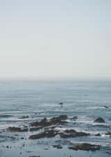 adult photographic Just because Card 1087 created by Lorna Ellen Photos