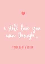 Funny Farts Anniversary Card / Valentines Day Card - I Still Love You Even Though Your Farts Stink created by Splodge Designs