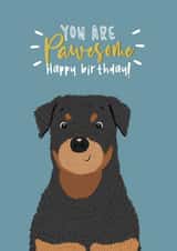 Rottweiler pawsome Birthday Card 17763 created by Lily and Daisy