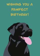 Black Labrador birthday card, wishing your lab loving friend a Pawfect day created by Rae of Sunshine