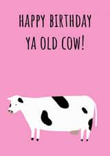 cow old Birthday Card 18906 created by Alicia Ard