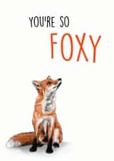 you're so foxy funny Anniversary Card 42656 created by SVHIllustration