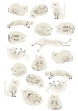 cats pet Birthday Card 17573 created by hnaillustration