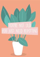 not old need Birthday Card 15500 created by Tee.Illustrations