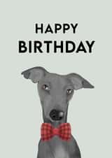 greyhound dog Birthday Card 18788 created by Treacle Bum