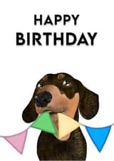 dachshund sausage dog Birthday Card 18789 created by Treacle Bum