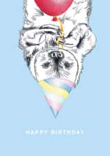 otter party hat Birthday Card 19569 created by CVMS