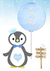 baby, birth, boy, newborn, congratulations, cute, animal, penguin, 2023 created by Little Letters with Love
