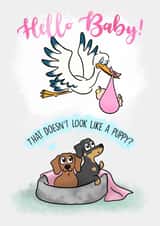 puppy look New Baby Card 19428 created by Laura Deakin